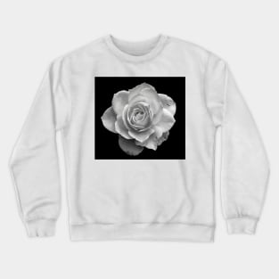 White Rose in Black and White Crewneck Sweatshirt